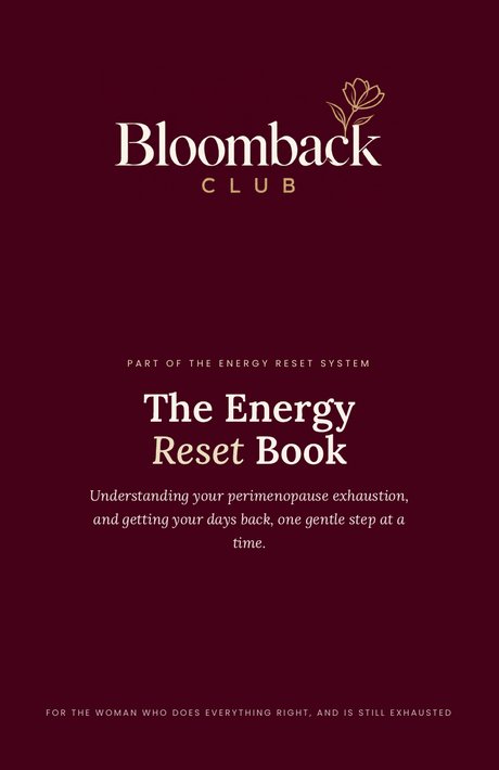 The Energy Reset Book cover